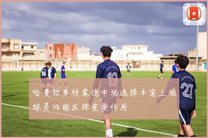 哈曼称多特蒙德中场选择丰富上场球员均能发挥重要作用
