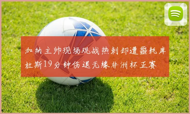 加纳主帅现场观战热刺却遭噩耗库杜斯19分钟伤退无缘非洲杯正赛