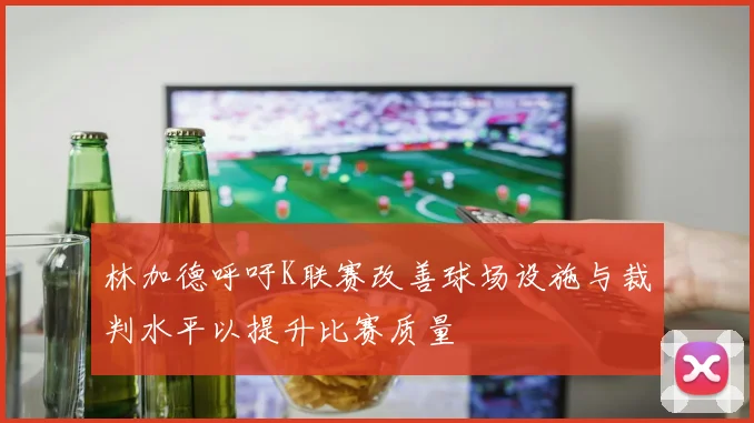 林加德呼吁K联赛改善球场设施与裁判水平以提升比赛质量