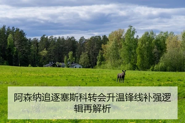 阿森纳追逐塞斯科转会升温锋线补强逻辑再解析
